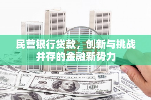 临邑民营银行贷款，创新与挑战并存的金融新势力