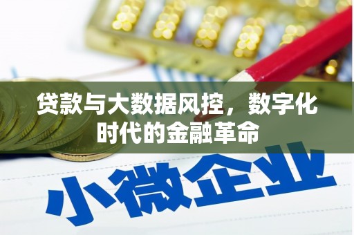 合阳贷款与大数据风控，数字化时代的金融革命