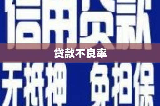 盖州贷款不良率