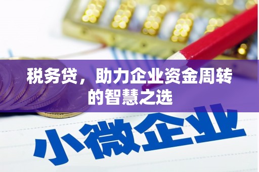 浦江税务贷，助力企业资金周转的智慧之选