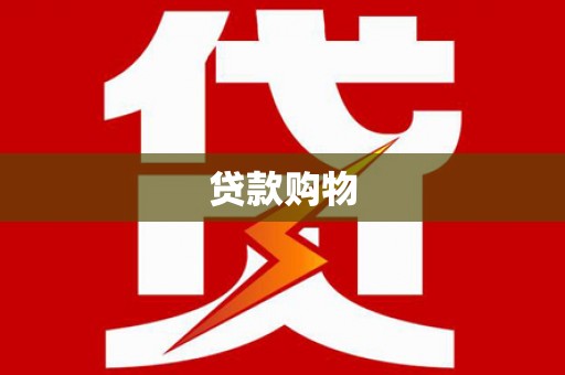 新园贷款购物