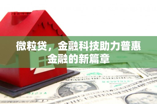 金寨微粒贷，金融科技助力普惠金融的新篇章