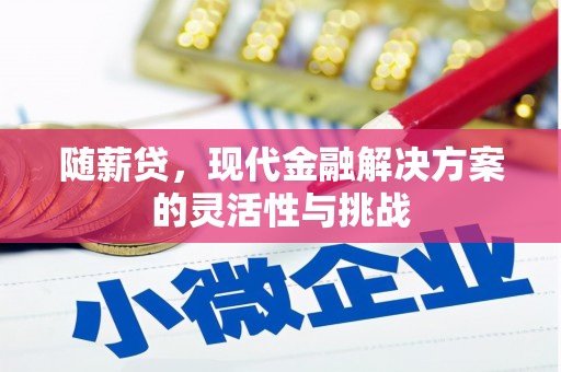 班戈随薪贷，现代金融解决方案的灵活性与挑战