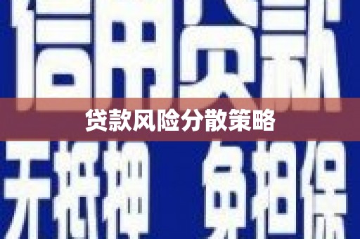 刚察贷款风险分散策略