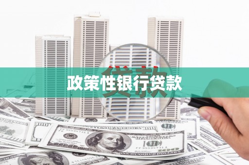 湘潭政策性银行贷款