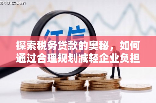 西夏探索税务贷款的奥秘，如何通过合理规划减轻企业负担