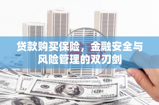 洪雅贷款购买保险，金融安全与风险管理的双刃剑