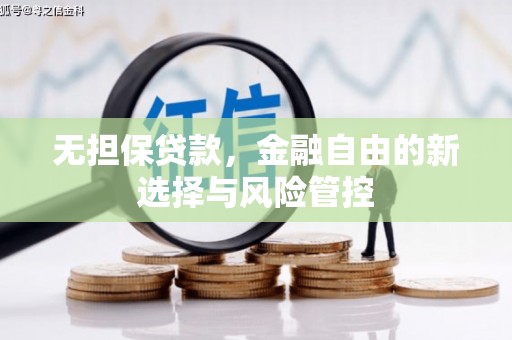 海原无担保贷款，金融自由的新选择与风险管控