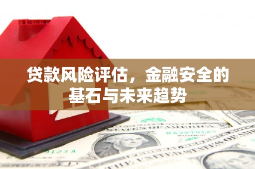 双柏贷款风险评估，金融安全的基石与未来趋势