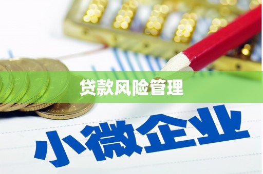兴县贷款风险管理