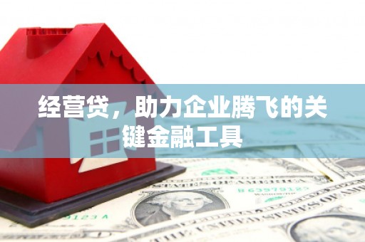 蒲江经营贷，助力企业腾飞的关键金融工具