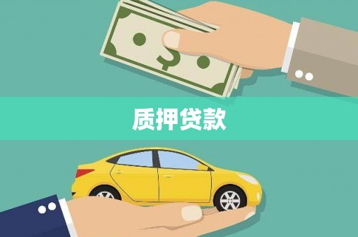 乡城质押贷款