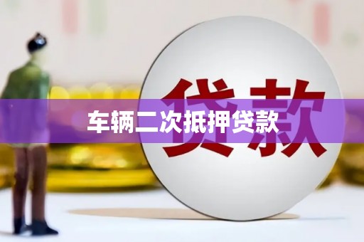 路环岛车辆二次抵押贷款