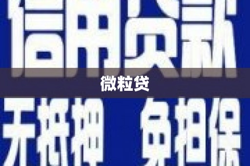 原州微粒贷