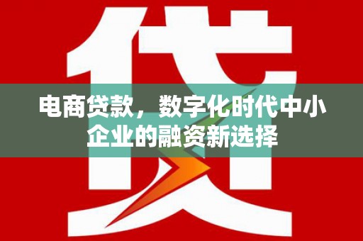 岗巴电商贷款，数字化时代中小企业的融资新选择