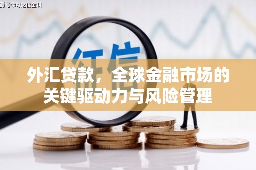 芮城外汇贷款，全球金融市场的关键驱动力与风险管理