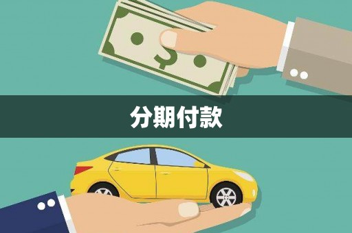 扶绥分期付款