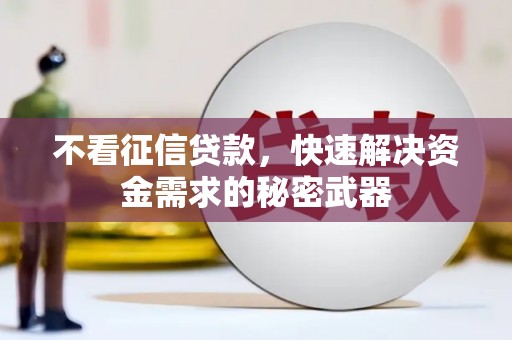 石家庄不看征信贷款，快速解决资金需求的秘密武器