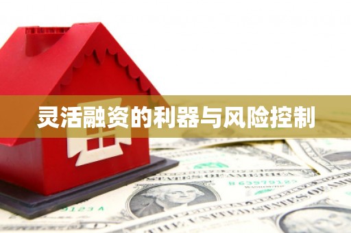 荔城灵活融资的利器与风险控制
