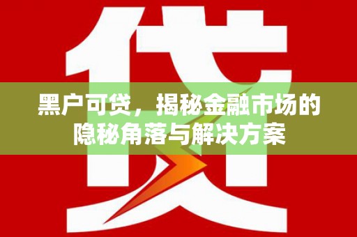 武川黑户可贷，揭秘金融市场的隐秘角落与解决方案