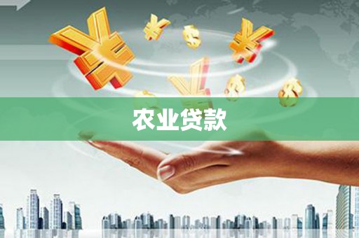 丹徒农业贷款