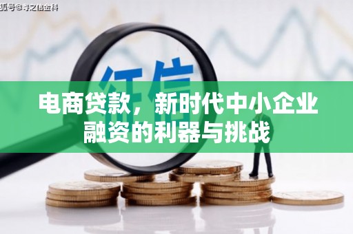 盐津电商贷款，新时代中小企业融资的利器与挑战