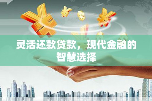 宝塔灵活还款贷款，现代金融的智慧选择