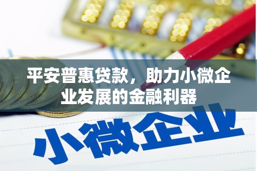 山阳平安普惠贷款，助力小微企业发展的金融利器