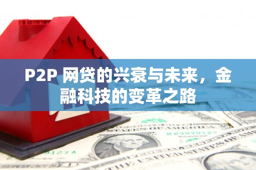 墨江P2P 网贷的兴衰与未来，金融科技的变革之路