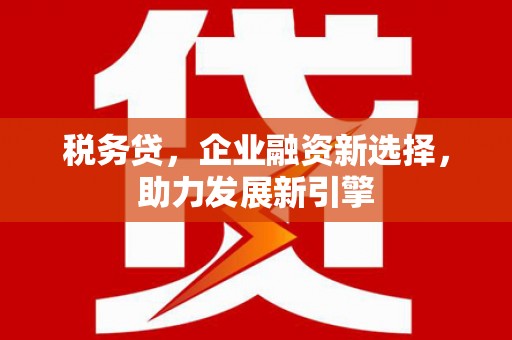 金昌税务贷，企业融资新选择，助力发展新引擎