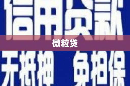 札达微粒贷