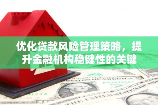 元谋优化贷款风险管理策略，提升金融机构稳健性的关键