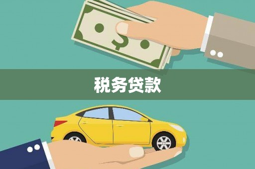 屏南税务贷款