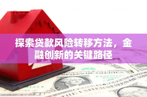 泰山探索贷款风险转移方法，金融创新的关键路径