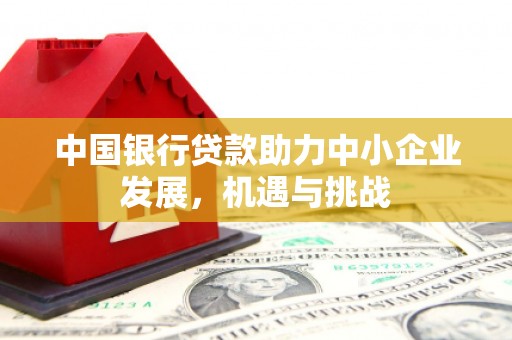 尼玛中国银行贷款助力中小企业发展，机遇与挑战