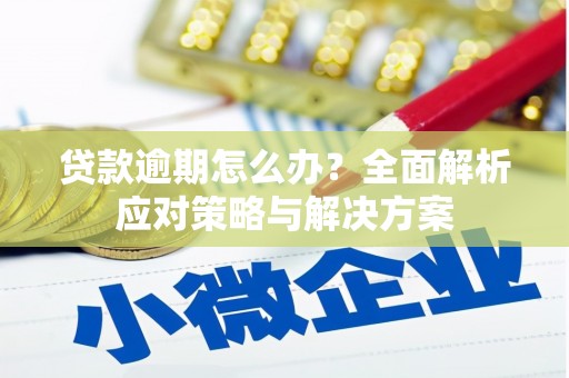竹南贷款逾期怎么办？全面解析应对策略与解决方案