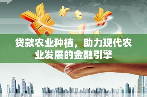 漳平贷款农业种植，助力现代农业发展的金融引擎