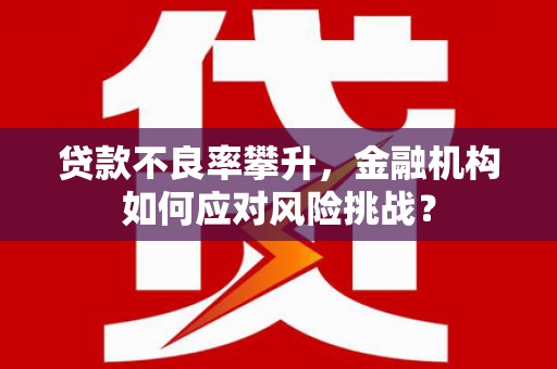 如皋贷款不良率攀升，金融机构如何应对风险挑战？