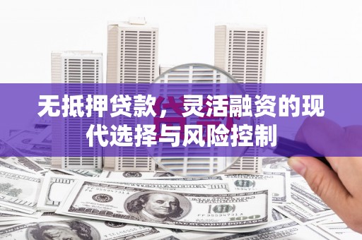 苍南无抵押贷款，灵活融资的现代选择与风险控制