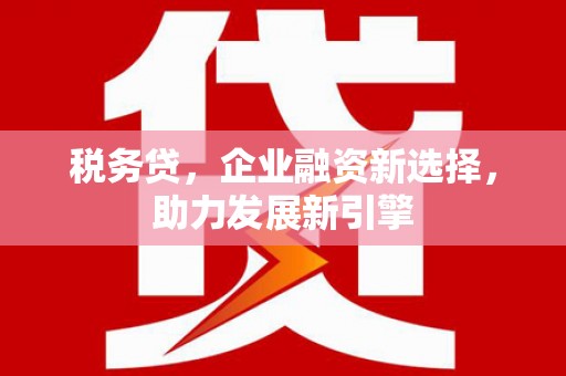 西盟税务贷，企业融资新选择，助力发展新引擎