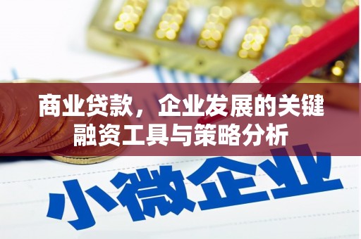 婺城商业贷款，企业发展的关键融资工具与策略分析