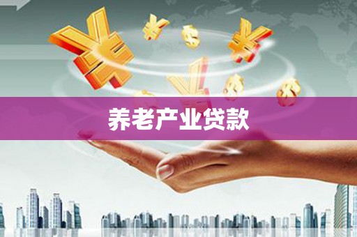 佳县养老产业贷款