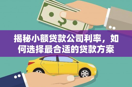 柞水揭秘小额贷款公司利率，如何选择最合适的贷款方案