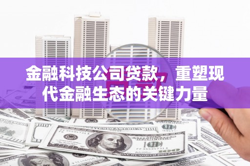 屏南金融科技公司贷款，重塑现代金融生态的关键力量