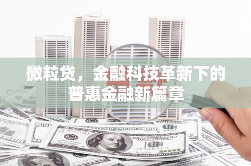 五家渠微粒贷，金融科技革新下的普惠金融新篇章