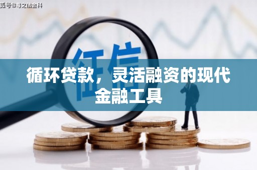隆德循环贷款，灵活融资的现代金融工具