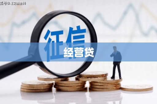 云龙经营贷