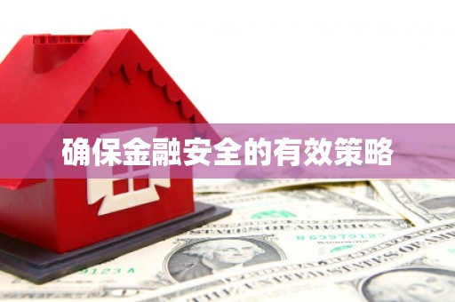 石柱确保金融安全的有效策略