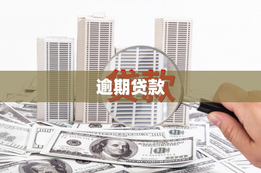 稻城逾期贷款