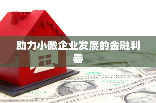 陆丰助力小微企业发展的金融利器